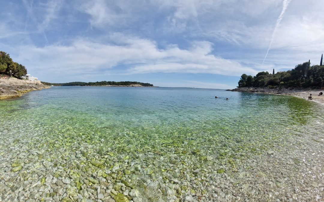 Pula 2024